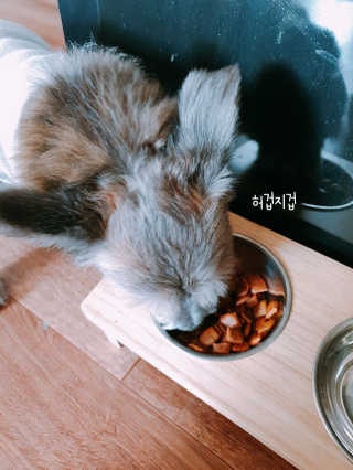 고구밍님이 올린 리뷰 사진 2