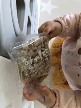 [펫토리아] 맛도 영양도 BEST 한끼뚝딱 강아지 사료 — 4.5점을 준 리뷰어가 2019년 4월 올린 사용 사진
