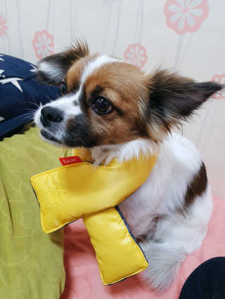 빛나님이 올린 리뷰 사진 4