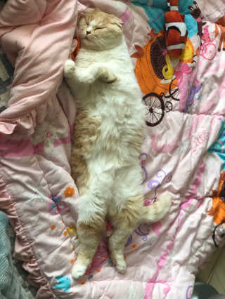 띠띠님이 올린 리뷰 사진 3