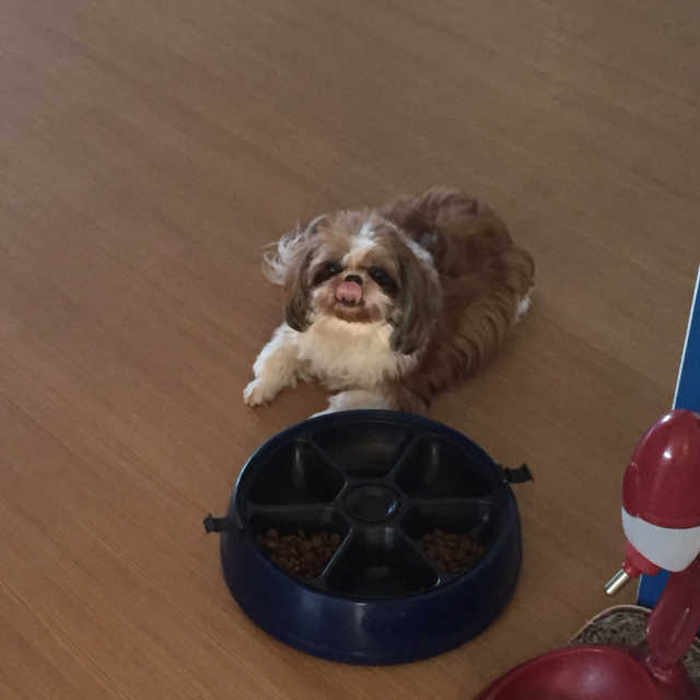 HERO 리뷰 사진