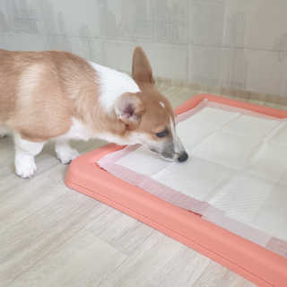 진이맘님이 올린 리뷰 사진 3