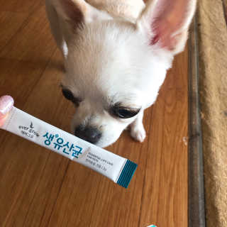 [빙그레] 에버그로 생유산균 1봉（10포입）+펫밀크2팩 — 5점을 준 리뷰어가 2019년 5월 올린 사용 사진