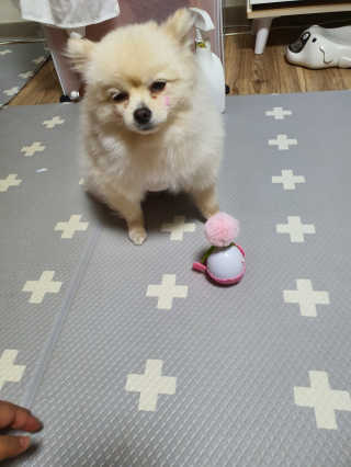 뚱이땅콩맘님이 올린 리뷰 사진 3