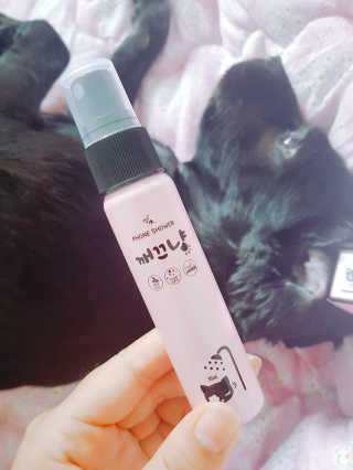 쏘닷B 휴대폰 살균소독제 깨끄냥 — 4.17점을 준 리뷰어가 2017년 6월 올린 사용 사진