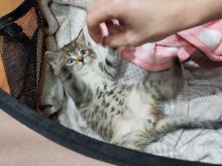 SangKiSon님이 올린 리뷰 사진 2