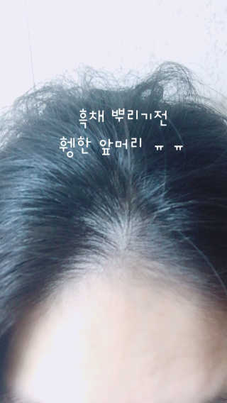 다슈코리아 다슈 안티 헤어로스 헤어쿠션 16g — 5점을 준 리뷰어가 2017년 10월 올린 사용 사진