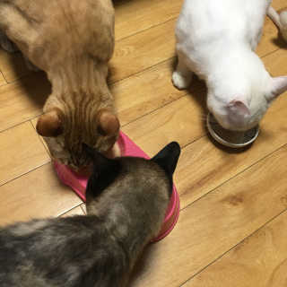 따니님이 올린 리뷰 사진 4