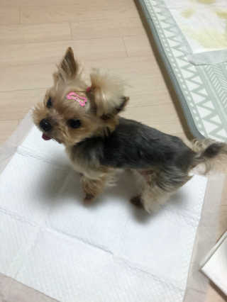 황방울이님이 올린 리뷰 사진 1