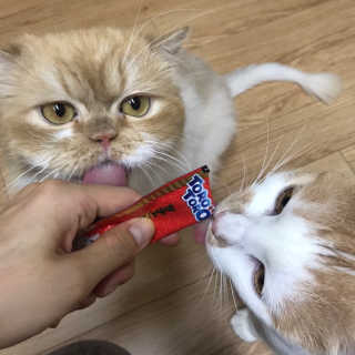 지꾸님이 올린 리뷰 사진 4