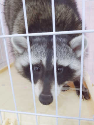 얌님이 올린 리뷰 사진 3