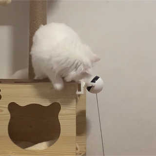졔린님이 올린 리뷰 사진 3