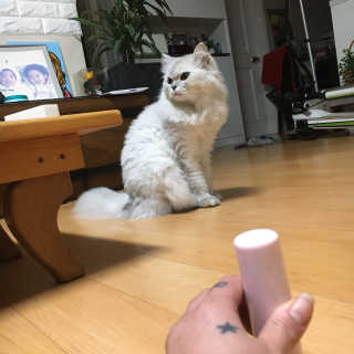 이선희님이 올린 리뷰 사진 4