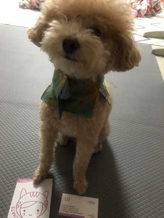 모모맘님이 올린 리뷰 사진 3