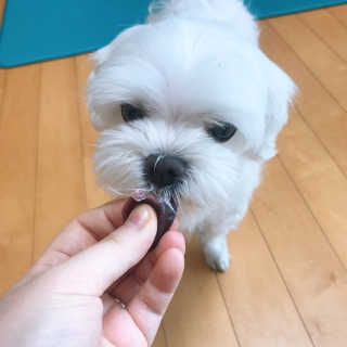 채꽃신님이 올린 리뷰 사진 3