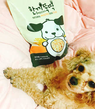 [펫토리아] 맛도 영양도 BEST 한끼뚝딱 강아지 사료 — 5점을 준 리뷰어가 2018년 12월 올린 사용 사진