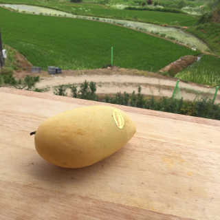 와칸다포에버님이 올린 리뷰 사진 2