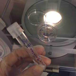 gohojo님이 올린 리뷰 사진 1