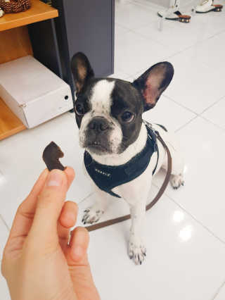 김민지님이 올린 리뷰 사진 2