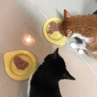 chu님이 올린 리뷰 사진 4