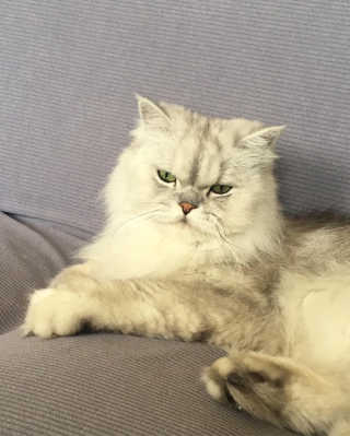 럽S하3님이 올린 리뷰 사진 1