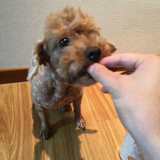 KyuBeomKwon님이 올린 리뷰 사진 4