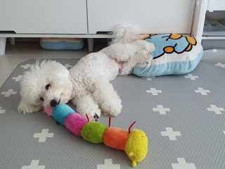 heeee님이 올린 리뷰 사진 3
