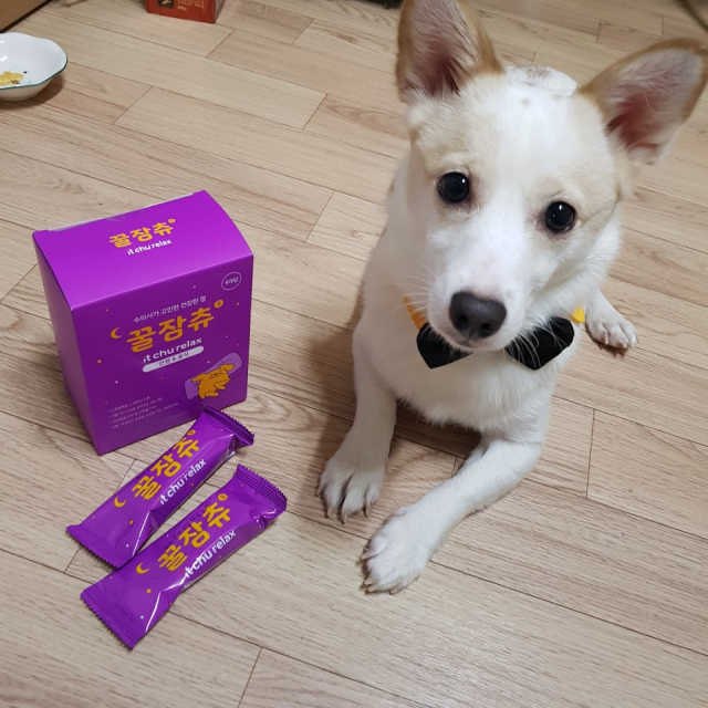 꿀잠츄 리뷰 사진