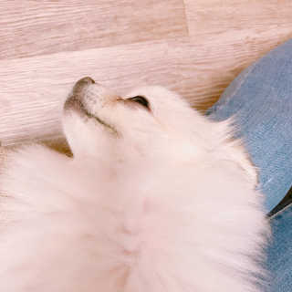 박지혜님이 올린 리뷰 사진 2