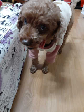 쪙현님이 올린 리뷰 사진 2