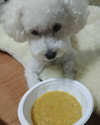 호두맘님이 올린 리뷰 사진 2