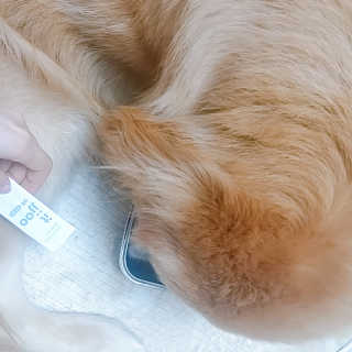 아보카도올리브님이 올린 리뷰 사진 2