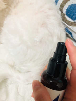 강아지스토리 포인원 모이스처 미스트 100ml — 5점을 준 리뷰어가 2018년 10월 올린 사용 사진