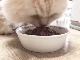 roky0214님이 올린 리뷰 사진 4