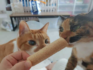 오나오나님이 올린 리뷰 사진 4