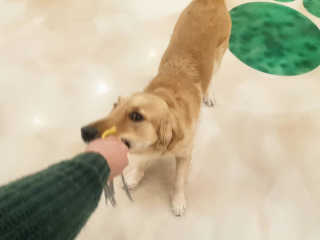 란아님이 올린 리뷰 사진 4