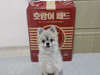 보람님이 올린 리뷰 사진 1