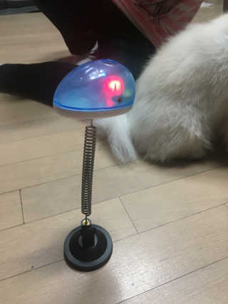 김수정님이 올린 리뷰 사진 2