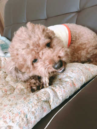 이성민님이 올린 리뷰 사진 3