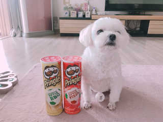 이예진님이 올린 리뷰 사진 3