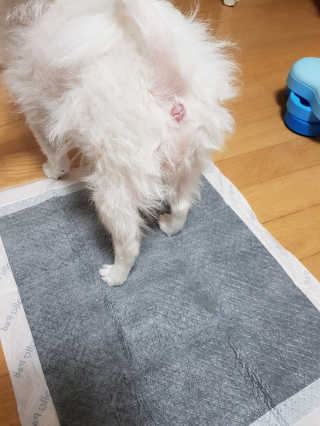 짱아짱아님이 올린 리뷰 사진 1