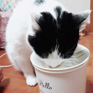 한라봉님이 올린 리뷰 사진 3