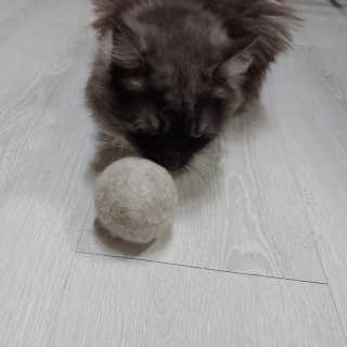 구월댁님이 올린 리뷰 사진 3