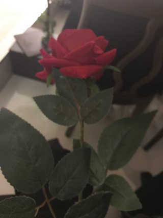 네스카페 코리아 네스카페 크레마 코코넛라떼 — 1점을 준 리뷰어가 2018년 1월 올린 사용 사진