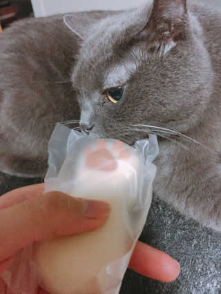 정윤주님이 올린 리뷰 사진 1