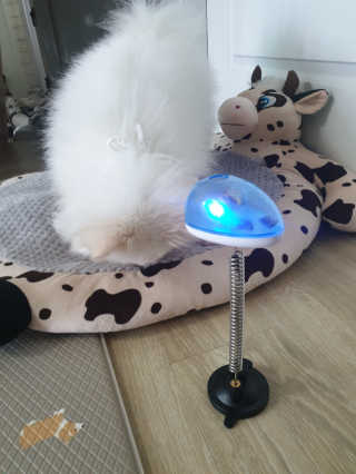 헝헝쓰님이 올린 리뷰 사진 2