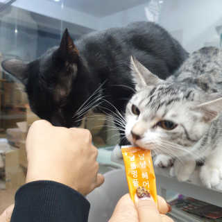 수덩이님이 올린 리뷰 사진 2