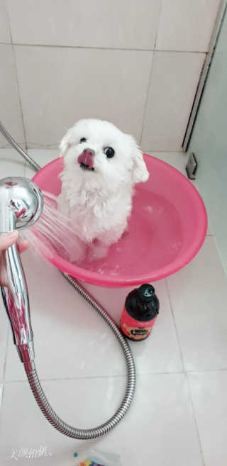 공팔순이님이 올린 리뷰 사진 1