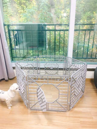 시우맘❤️님이 올린 리뷰 사진 2