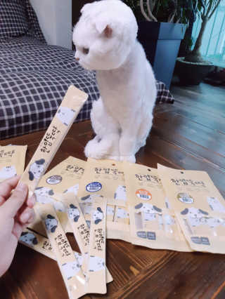 [펫토리아]짜먹는 한입뚝딱 강아지.고양이 마약간식 — 5점을 준 리뷰어가 2019년 8월 올린 사용 사진